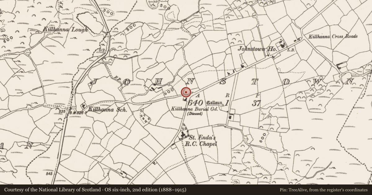 Ordnance Survey six-inch map, 2nd edition (1888–1915) covering the location of Ringfort - rath, Johnstown, County Cork, with a pin at the register's coordinates