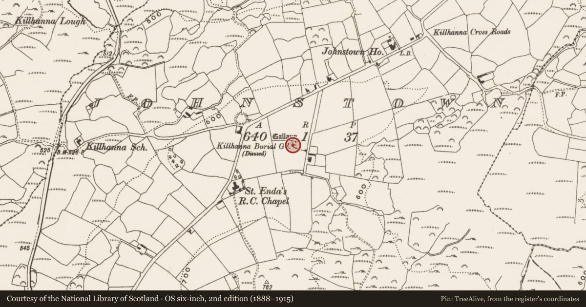 Ordnance Survey six-inch map, 2nd edition (1888–1915) covering the location of Burial ground, Johnstown, County Cork, with a pin at the register's coordinates