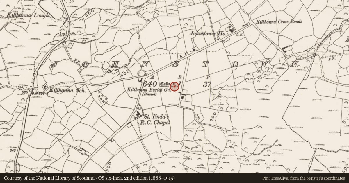 Ordnance Survey six-inch map, 2nd edition (1888–1915) covering the location of Standing stone, Johnstown, County Cork, with a pin at the register's coordinates