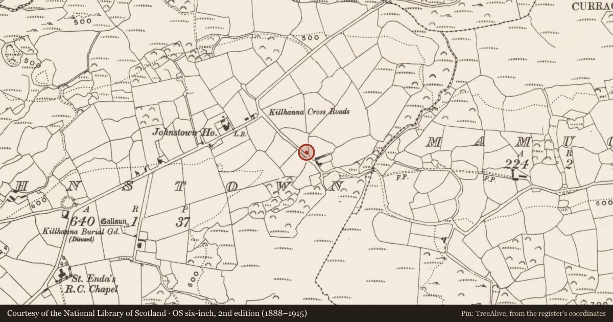 Ordnance Survey six-inch map, 2nd edition (1888–1915) covering the location of Souterrain, Johnstown, County Cork, with a pin at the register's coordinates