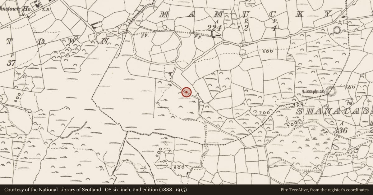 Ordnance Survey six-inch map, 2nd edition (1888–1915) covering the location of Megalithic tomb - wedge tomb, Mamucky, County Cork, with a pin at the register's coordinates