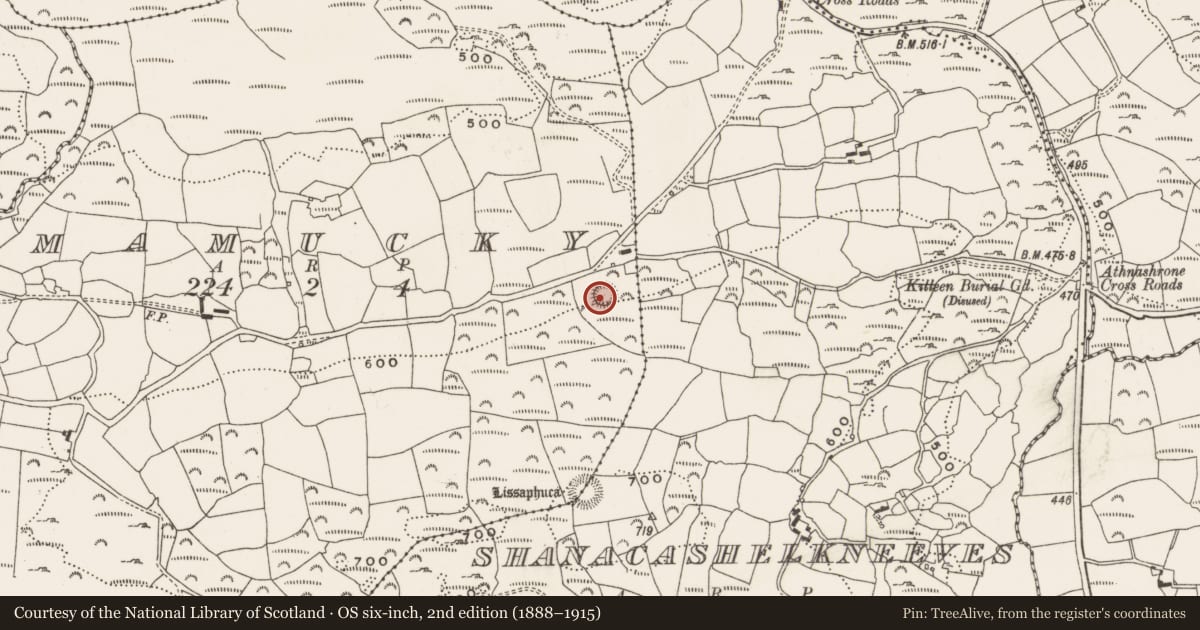 Ordnance Survey six-inch map, 2nd edition (1888–1915) covering the location of Enclosure, Mamucky, County Cork, with a pin at the register's coordinates