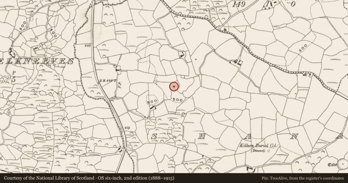 Ordnance Survey six-inch map, 2nd edition (1888–1915) covering the location of Ringfort - cashel, Shanacashel, County Cork, with a pin at the register's coordinates