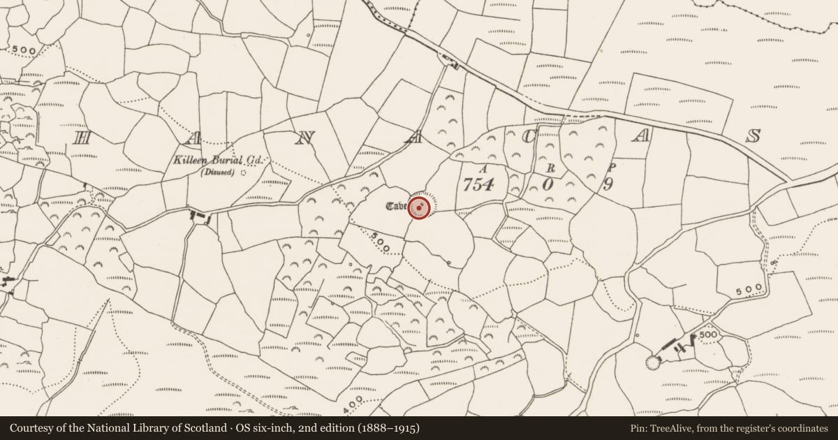 Ordnance Survey six-inch map, 2nd edition (1888–1915) covering the location of Souterrain, Shanacashel, County Cork, with a pin at the register's coordinates