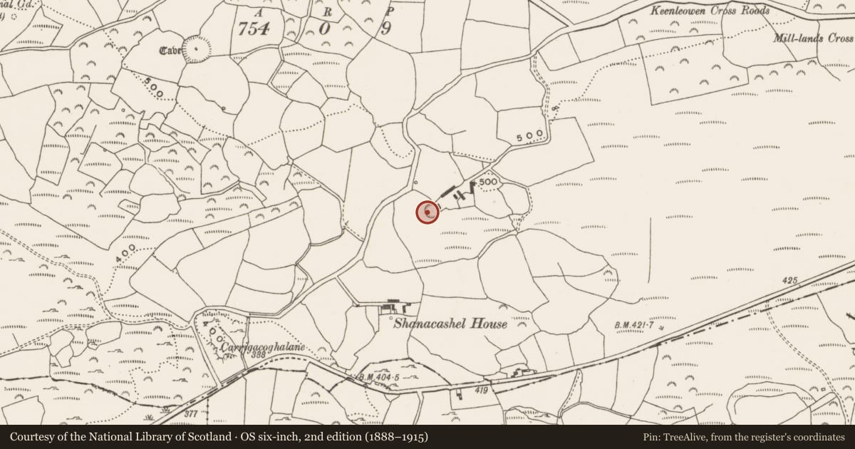Ordnance Survey six-inch map, 2nd edition (1888–1915) covering the location of Ringfort - rath, Shanacashel, County Cork, with a pin at the register's coordinates