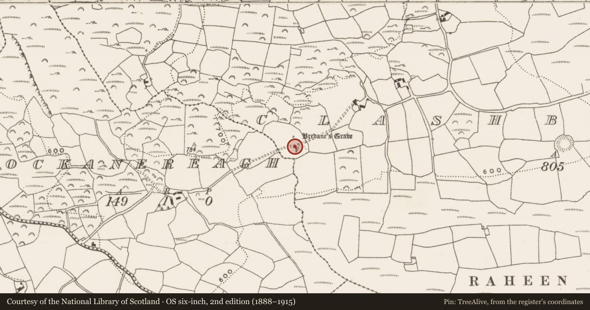 Ordnance Survey six-inch map, 2nd edition (1888–1915) covering the location of Megalithic tomb - wedge tomb, Clashbredane, County Cork, with a pin at the register's coordinates