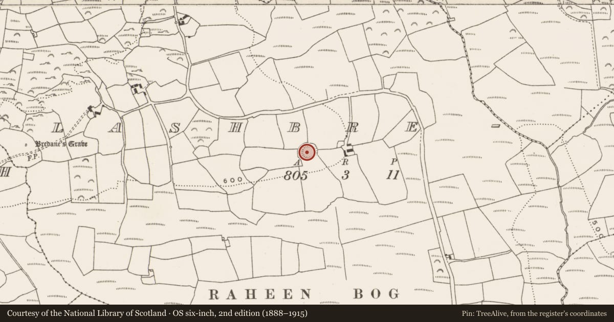 Ordnance Survey six-inch map, 2nd edition (1888–1915) covering the location of Ringfort - rath, Clashbredane, County Cork, with a pin at the register's coordinates