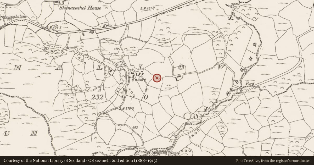 Ordnance Survey six-inch map, 2nd edition (1888–1915) covering the location of Souterrain, Mallow, County Cork, with a pin at the register's coordinates