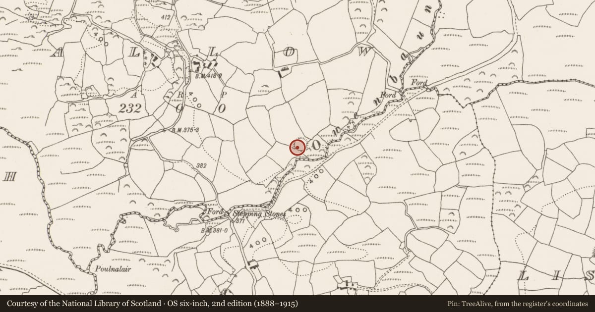 Ordnance Survey six-inch map, 2nd edition (1888–1915) covering the location of Ringfort - rath, Mallow, County Cork, with a pin at the register's coordinates