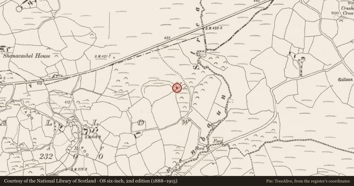 Ordnance Survey six-inch map, 2nd edition (1888–1915) covering the location of Fulacht fia, Mallow, County Cork, with a pin at the register's coordinates