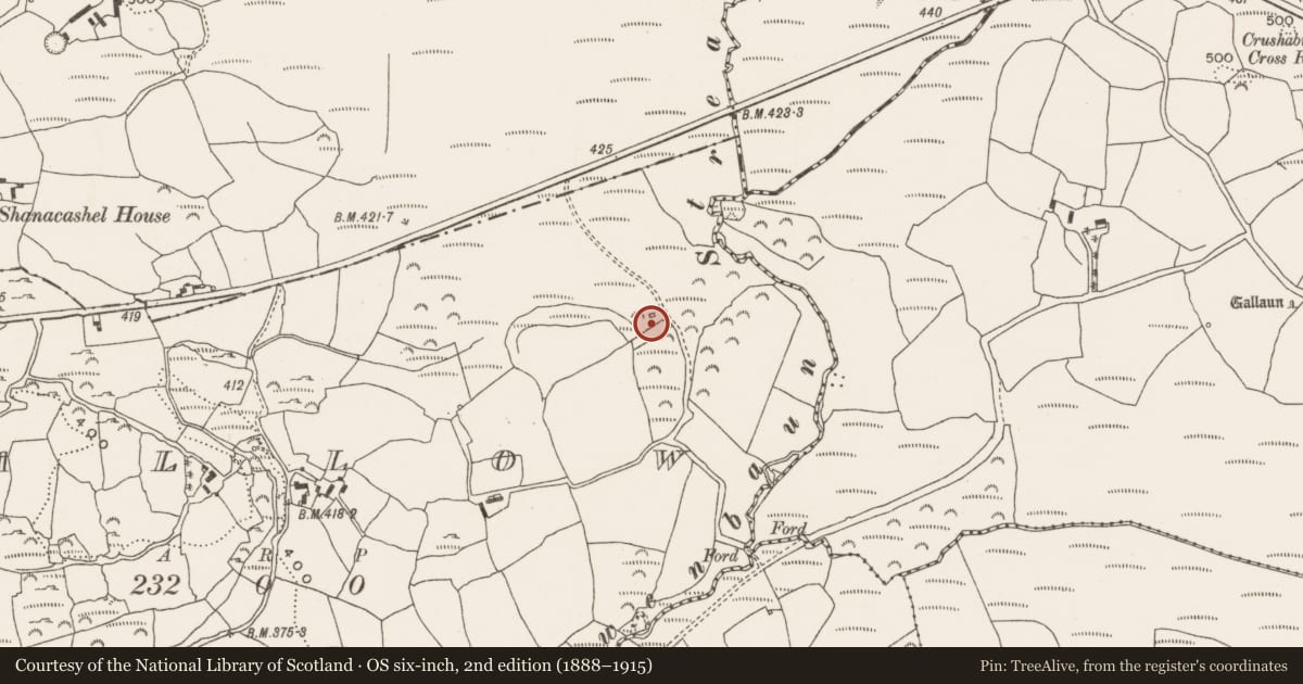 Ordnance Survey six-inch map, 2nd edition (1888–1915) covering the location of Fulacht fia, Mallow, County Cork, with a pin at the register's coordinates