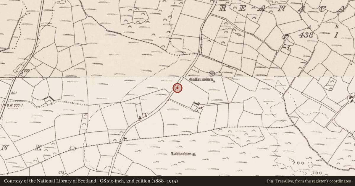 Ordnance Survey six-inch map, 2nd edition (1888–1915) covering the location of Boulder-burial, Clashbredane, County Cork, with a pin at the register's coordinates