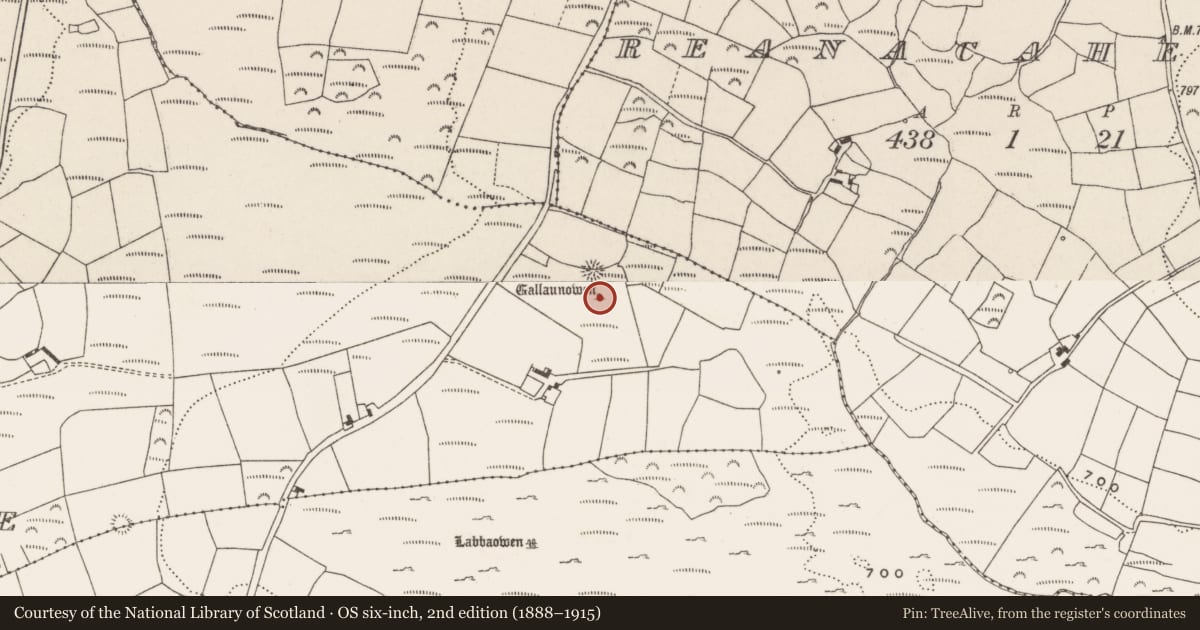 Ordnance Survey six-inch map, 2nd edition (1888–1915) covering the location of Standing stone, Clashbredane, County Cork, with a pin at the register's coordinates