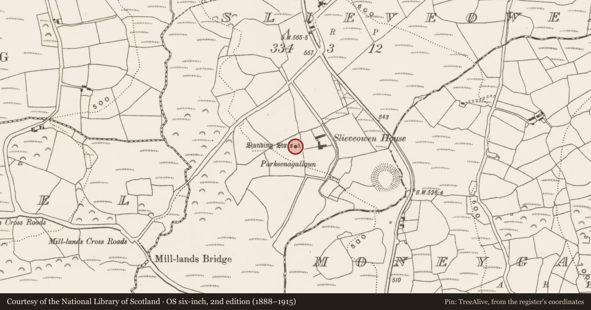 Ordnance Survey six-inch map, 2nd edition (1888–1915) covering the location of Standing stone, Slieveowen, County Cork, with a pin at the register's coordinates