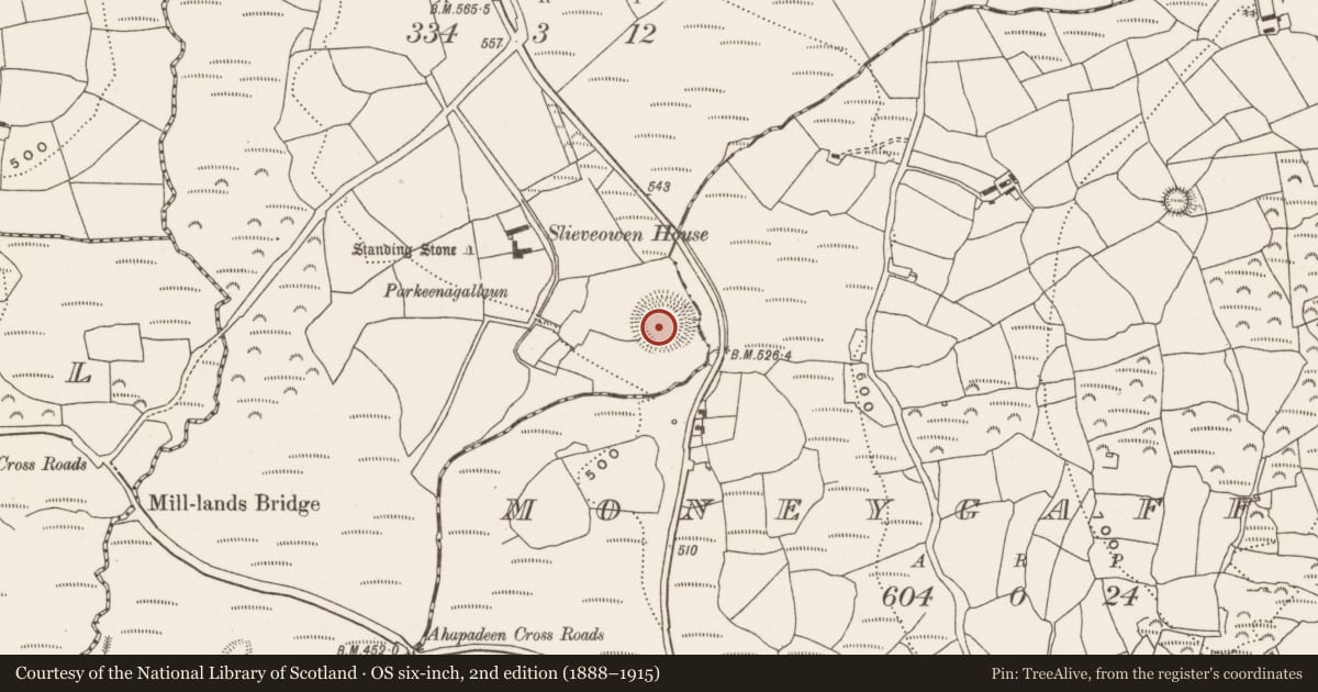 Ordnance Survey six-inch map, 2nd edition (1888–1915) covering the location of Ringfort - rath, Slieveowen, County Cork, with a pin at the register's coordinates