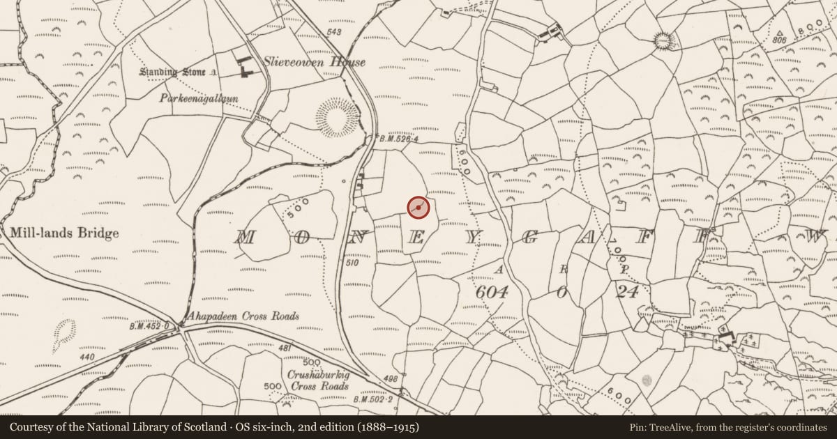 Ordnance Survey six-inch map, 2nd edition (1888–1915) covering the location of Souterrain, Moneygaff West, County Cork, with a pin at the register's coordinates