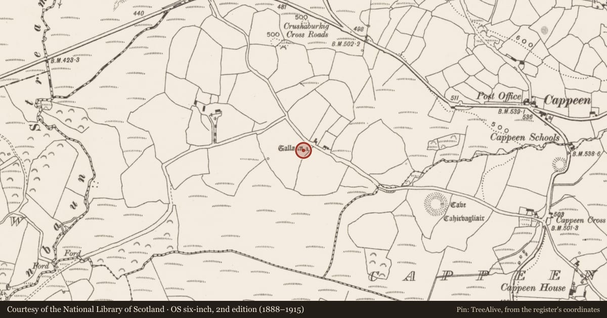 Ordnance Survey six-inch map, 2nd edition (1888–1915) covering the location of Anomalous stone group, Moneygaff West, County Cork, with a pin at the register's coordinates