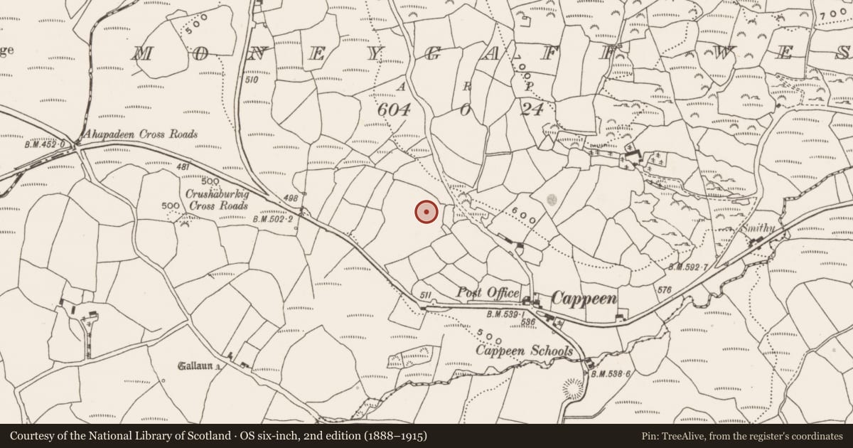 Ordnance Survey six-inch map, 2nd edition (1888–1915) covering the location of Standing stone, Moneygaff West, County Cork, with a pin at the register's coordinates