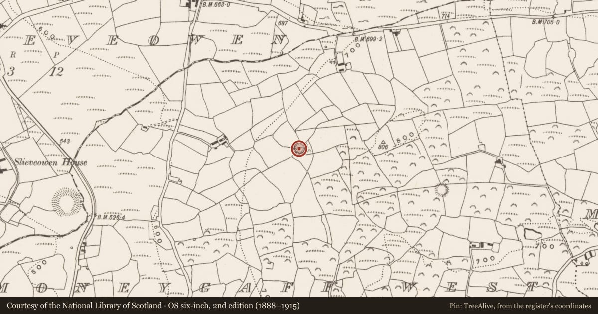 Ordnance Survey six-inch map, 2nd edition (1888–1915) covering the location of Ringfort - rath, Moneygaff West, County Cork, with a pin at the register's coordinates