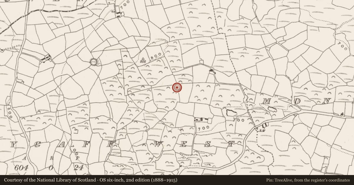 Ordnance Survey six-inch map, 2nd edition (1888–1915) covering the location of Ringfort - rath, Moneygaff West, County Cork, with a pin at the register's coordinates