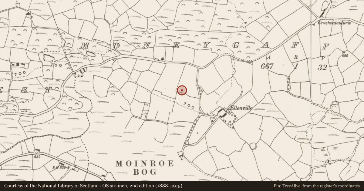 Ordnance Survey six-inch map, 2nd edition (1888–1915) covering the location of Enclosure, Moneygaff East, County Cork, with a pin at the register's coordinates