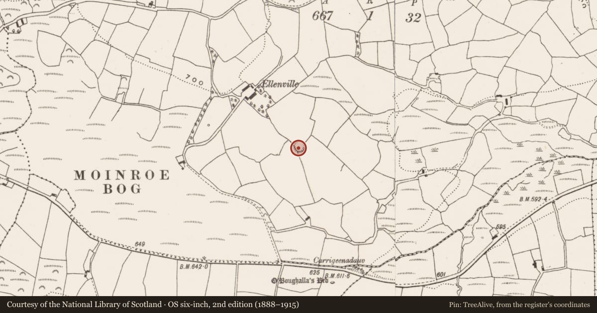 Ordnance Survey six-inch map, 2nd edition (1888–1915) covering the location of Souterrain, Moneygaff East, County Cork, with a pin at the register's coordinates