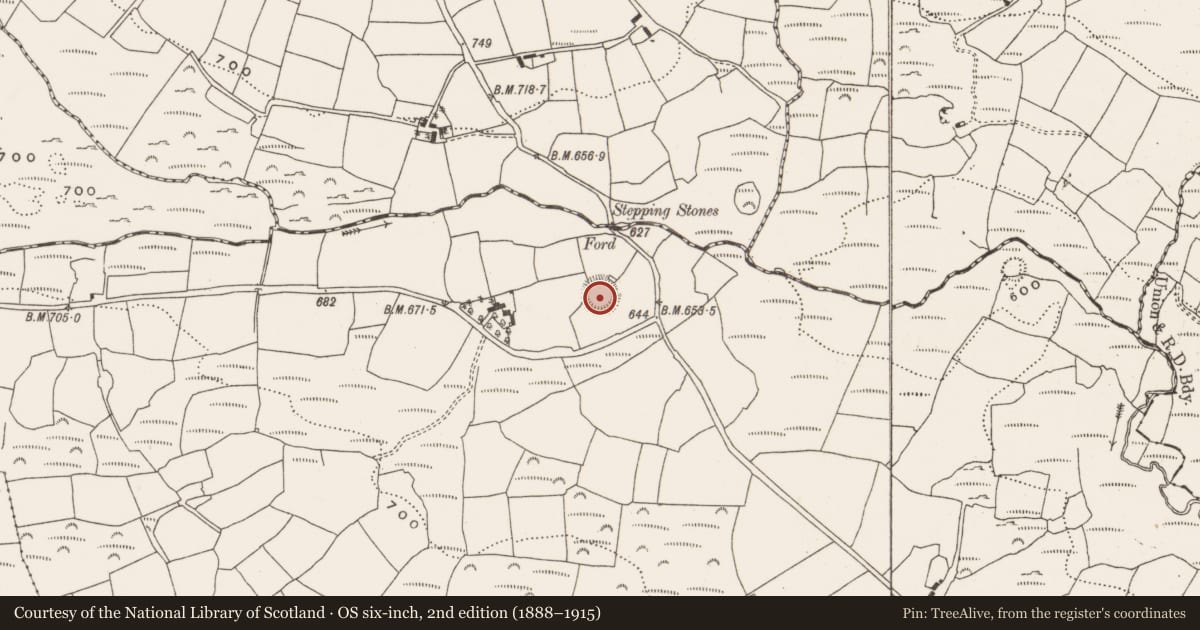 Ordnance Survey six-inch map, 2nd edition (1888–1915) covering the location of Ringfort - rath, Moneygaff East, County Cork, with a pin at the register's coordinates