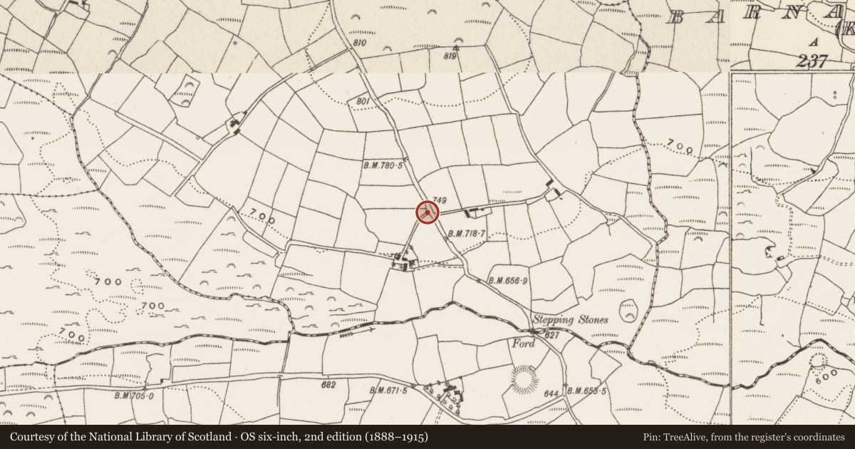 Ordnance Survey six-inch map, 2nd edition (1888–1915) covering the location of Ringfort - rath, Reanacaheragh, County Cork, with a pin at the register's coordinates