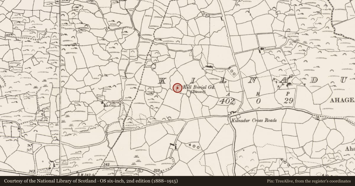 Ordnance Survey six-inch map, 2nd edition (1888–1915) covering the location of Bullaun stone, Kilnadur, County Cork, with a pin at the register's coordinates