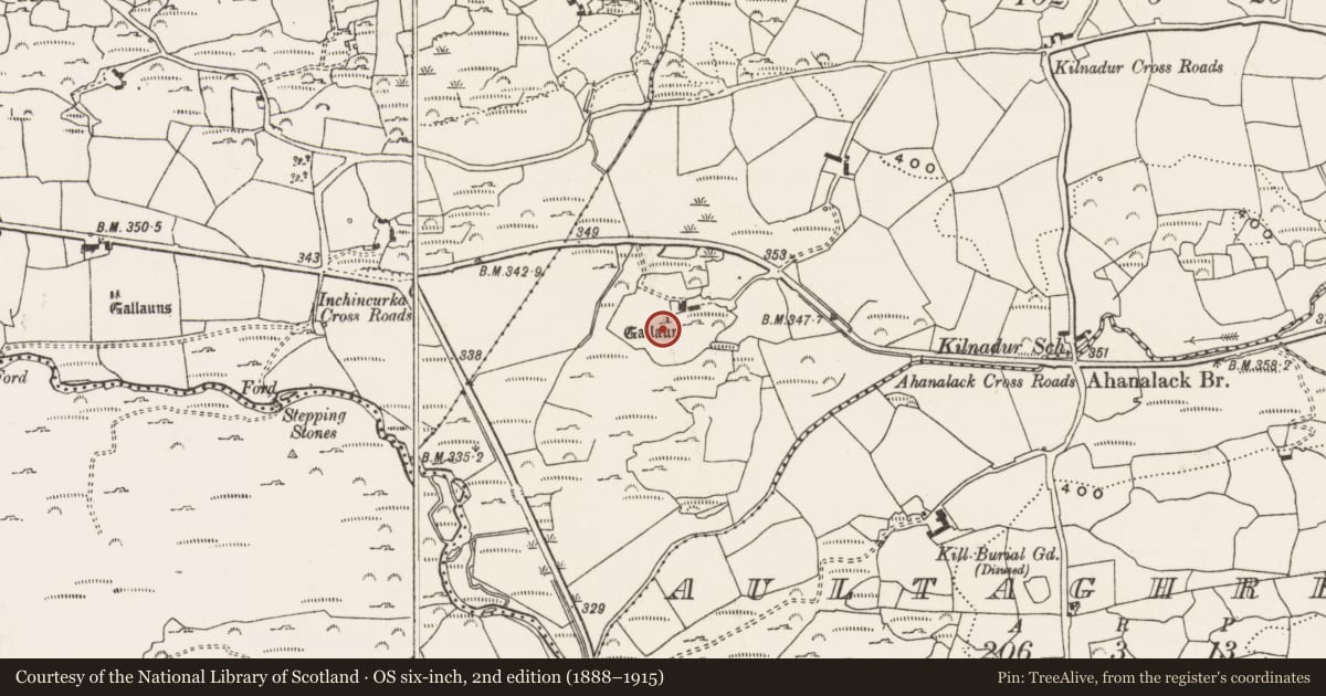 Ordnance Survey six-inch map, 2nd edition (1888–1915) covering the location of Standing stone, Kilnadur, County Cork, with a pin at the register's coordinates