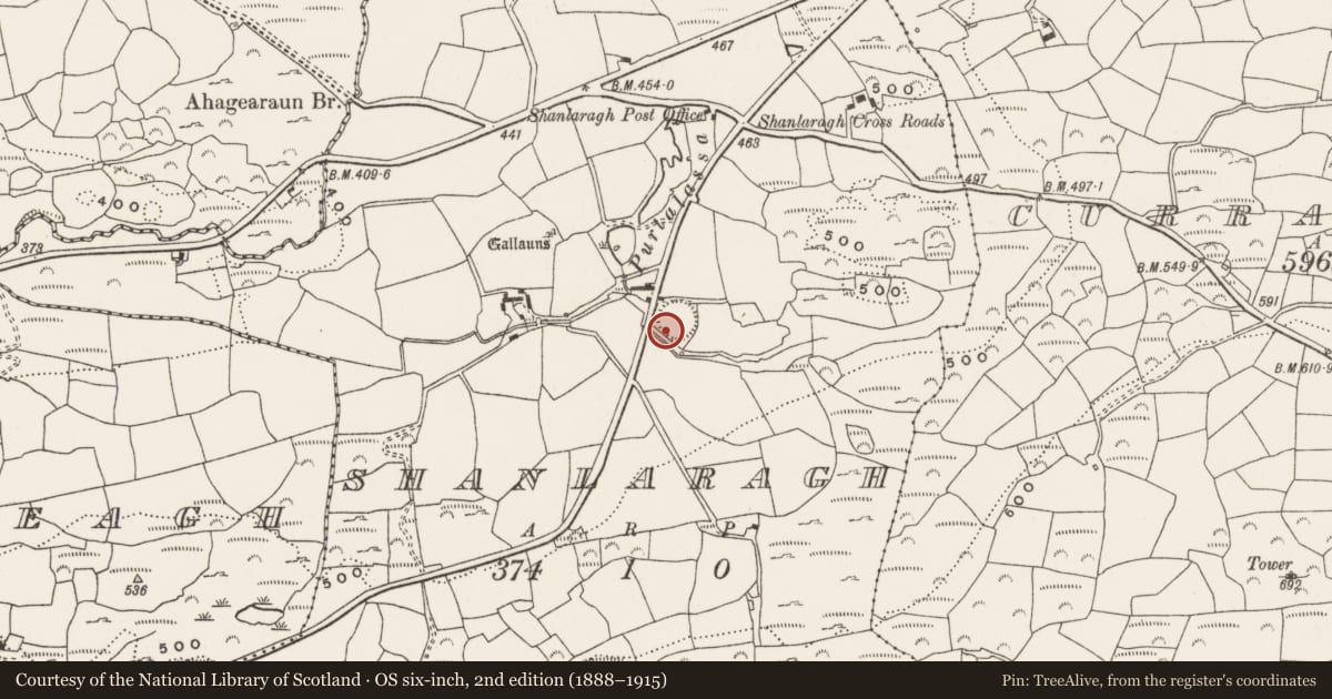 Ordnance Survey six-inch map, 2nd edition (1888–1915) covering the location of Ringfort - rath, Shanlaragh, County Cork, with a pin at the register's coordinates