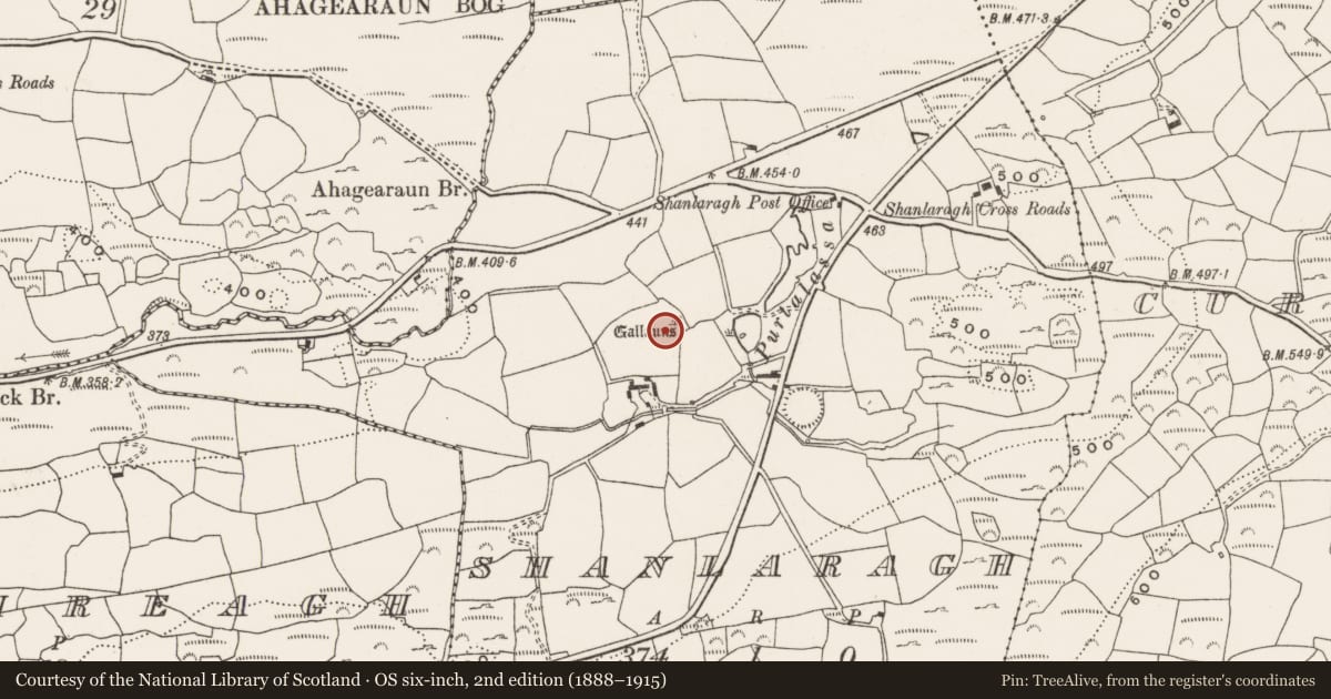 Ordnance Survey six-inch map, 2nd edition (1888–1915) covering the location of Standing stone - pair, Shanlaragh, County Cork, with a pin at the register's coordinates