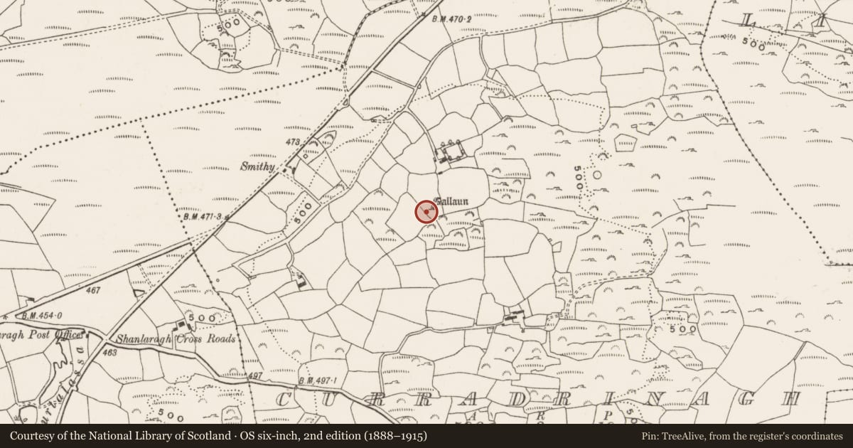 Ordnance Survey six-inch map, 2nd edition (1888–1915) covering the location of Standing stone, Curradrinagh, County Cork, with a pin at the register's coordinates