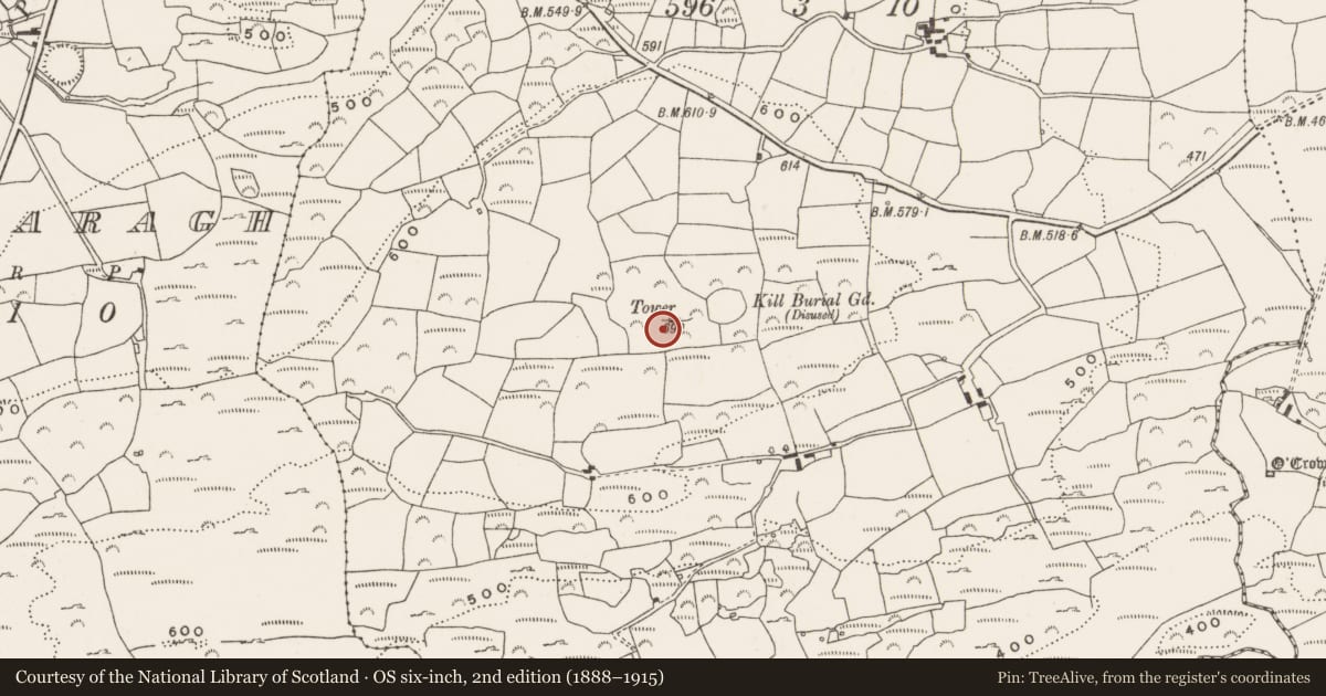 Ordnance Survey six-inch map, 2nd edition (1888–1915) covering the location of Designed landscape - belvedere, Curradrinagh, County Cork, with a pin at the register's coordinates