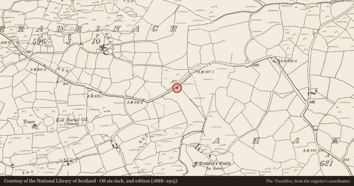 Ordnance Survey six-inch map, 2nd edition (1888–1915) covering the location of Kiln - lime, Curradrinagh, County Cork, with a pin at the register's coordinates