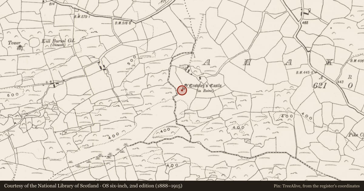 Ordnance Survey six-inch map, 2nd edition (1888–1915) covering the location of Castle - tower house, Ahakeera, County Cork, with a pin at the register's coordinates