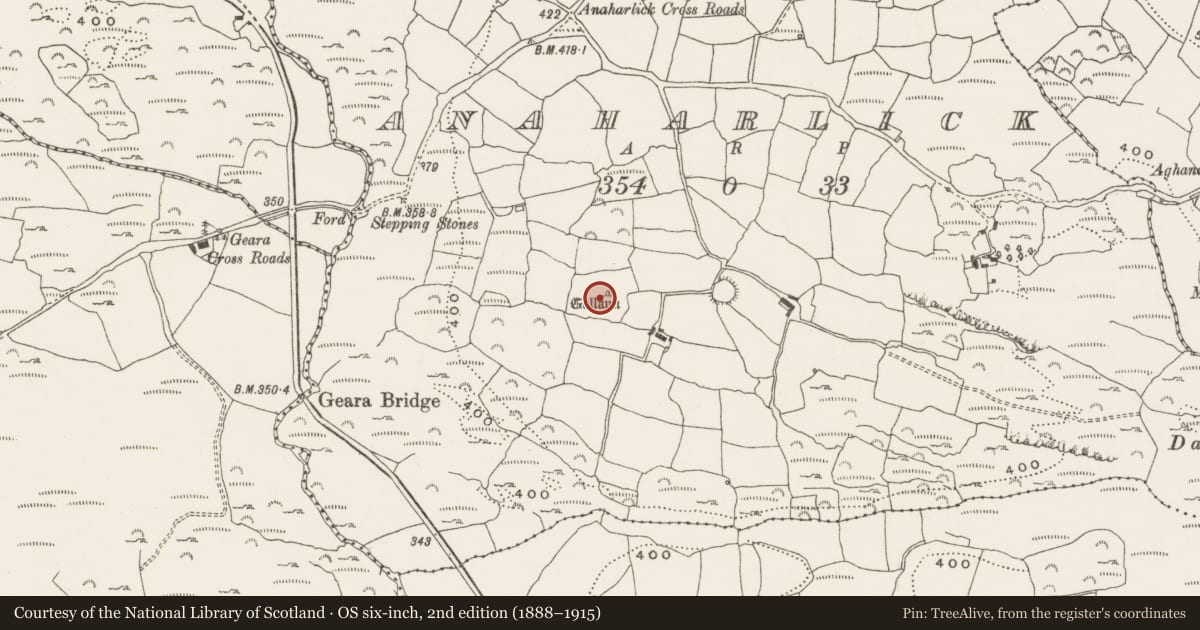 Ordnance Survey six-inch map, 2nd edition (1888–1915) covering the location of Standing stone, Anaharlick, County Cork, with a pin at the register's coordinates