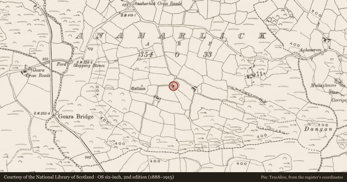 Ordnance Survey six-inch map, 2nd edition (1888–1915) covering the location of Ringfort - rath, Anaharlick, County Cork, with a pin at the register's coordinates