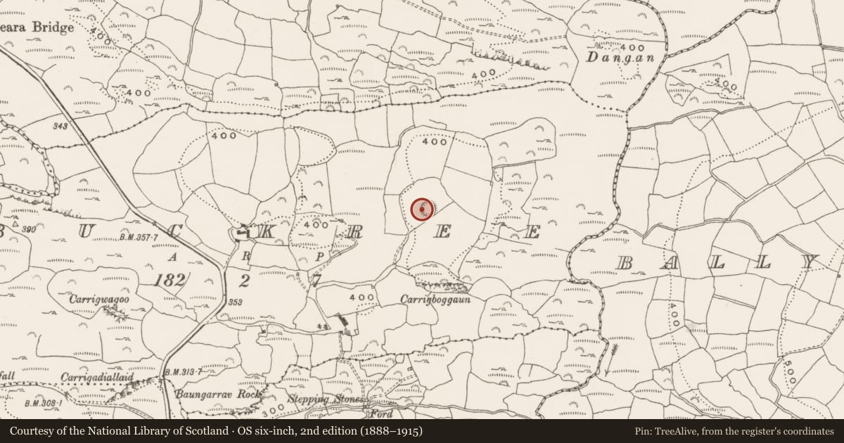 Ordnance Survey six-inch map, 2nd edition (1888–1915) covering the location of Ringfort - cashel, Buckree, County Cork, with a pin at the register's coordinates