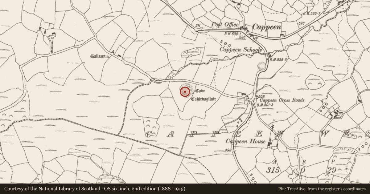 Ordnance Survey six-inch map, 2nd edition (1888–1915) covering the location of Ringfort - rath, Cappeen West, County Cork, with a pin at the register's coordinates