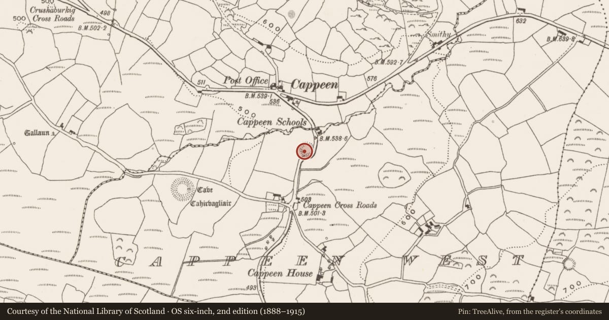 Ordnance Survey six-inch map, 2nd edition (1888–1915) covering the location of Souterrain, Cappeen West, County Cork, with a pin at the register's coordinates