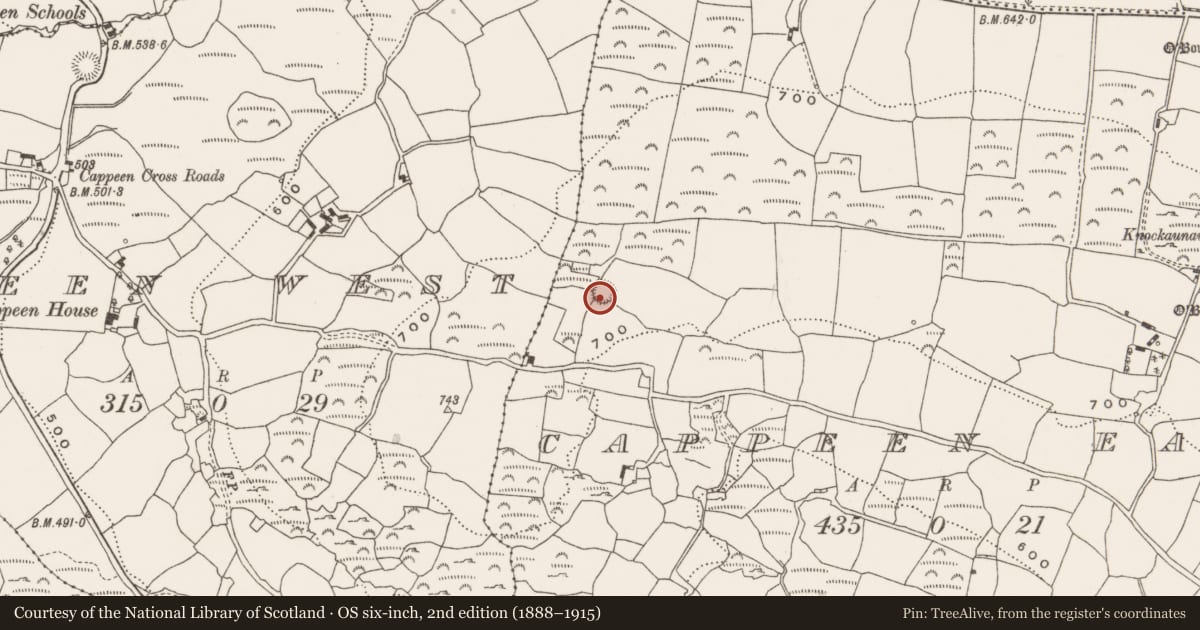 Ordnance Survey six-inch map, 2nd edition (1888–1915) covering the location of Ringfort - rath, Cappeen East, County Cork, with a pin at the register's coordinates