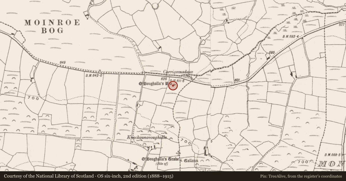 Ordnance Survey six-inch map, 2nd edition (1888–1915) covering the location of Megalithic tomb - wedge tomb, Cappeen East, County Cork, with a pin at the register's coordinates