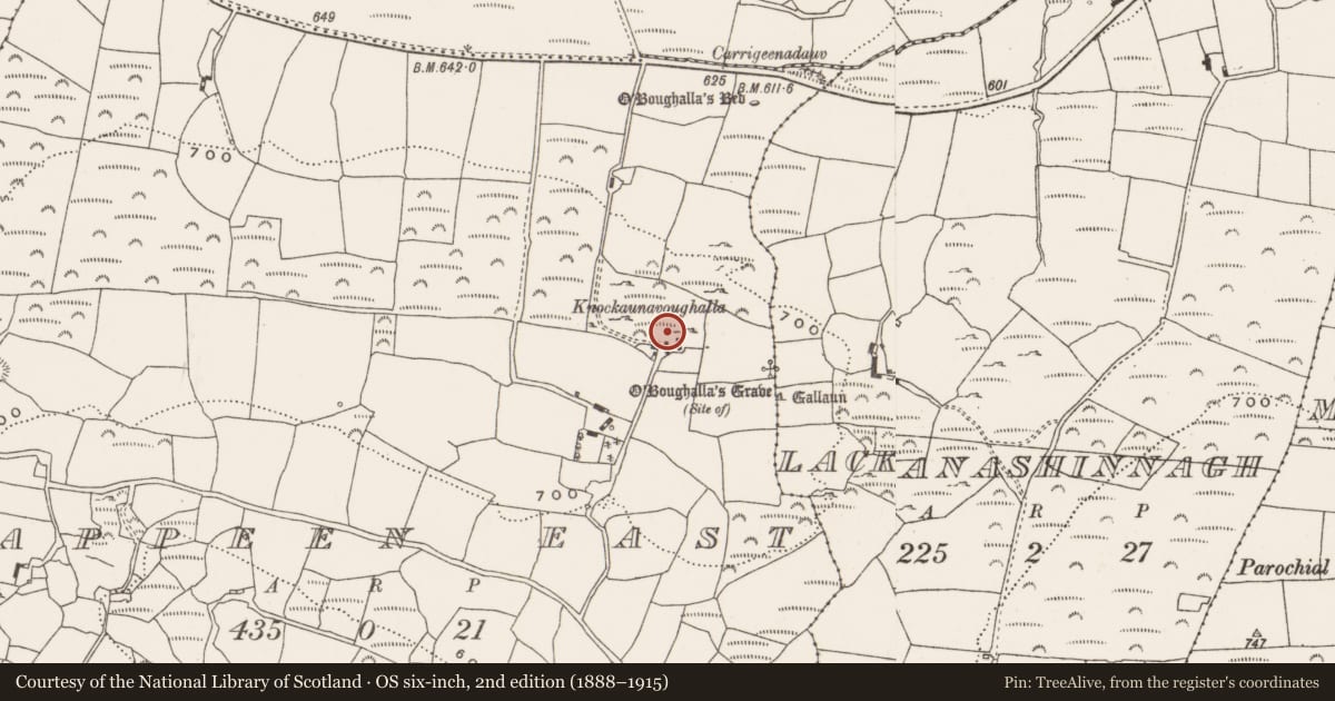 Ordnance Survey six-inch map, 2nd edition (1888–1915) covering the location of Standing stone, Cappeen East, County Cork, with a pin at the register's coordinates