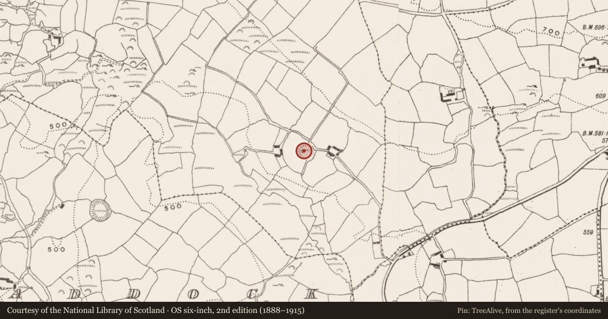 Ordnance Survey six-inch map, 2nd edition (1888–1915) covering the location of Ringfort - rath, Cappeen East, County Cork, with a pin at the register's coordinates