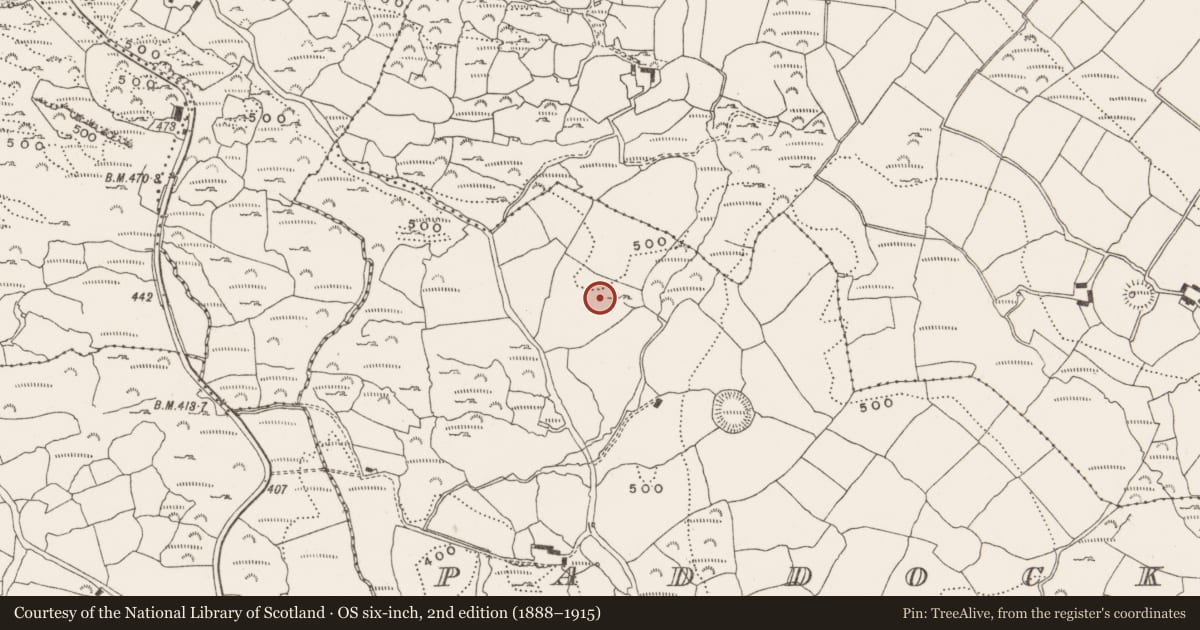 Ordnance Survey six-inch map, 2nd edition (1888–1915) covering the location of Souterrain, Paddock (Carbery East (W.D) By., Kinneigh Par.), County Cork, with a pin at the register's coordinates