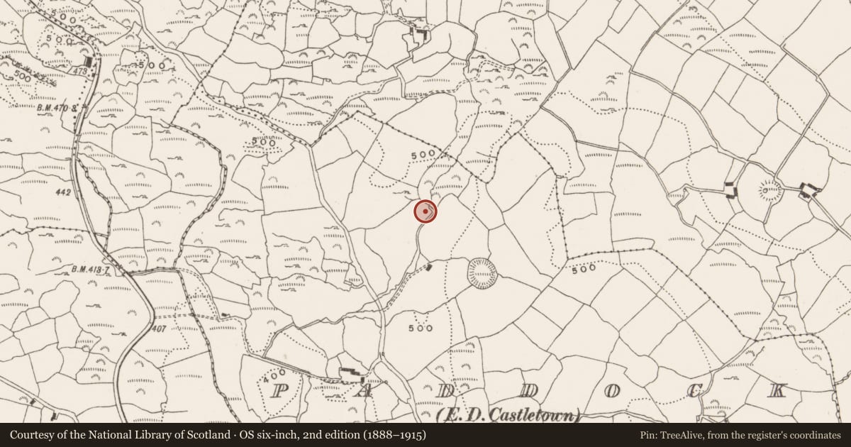 Ordnance Survey six-inch map, 2nd edition (1888–1915) covering the location of Fulacht fia, Paddock (Carbery East (W.D) By., Kinneigh Par.), County Cork, with a pin at the register's coordinates