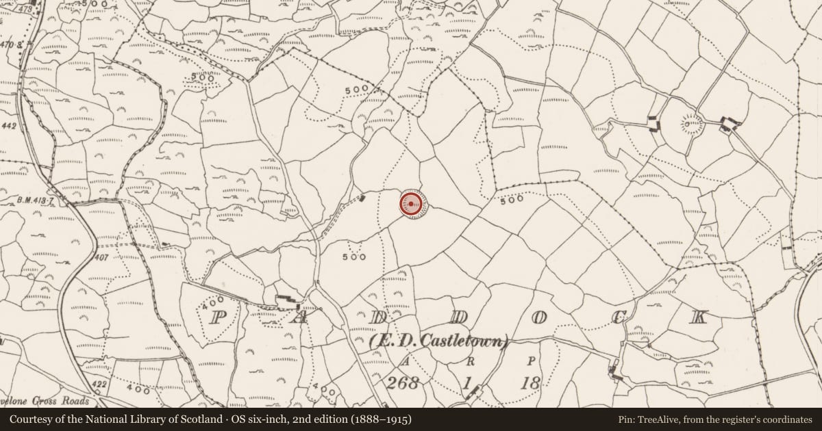 Ordnance Survey six-inch map, 2nd edition (1888–1915) covering the location of Ringfort - rath, Paddock (Carbery East (W.D) By., Kinneigh Par.), County Cork, with a pin at the register's coordinates