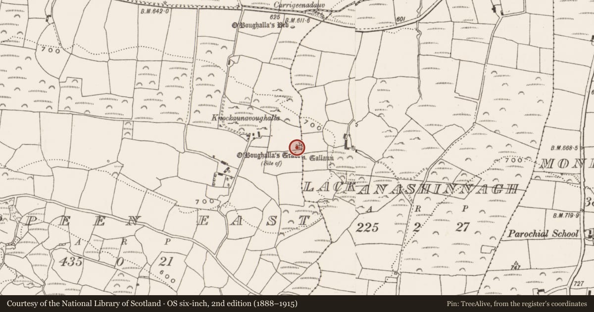 Ordnance Survey six-inch map, 2nd edition (1888–1915) covering the location of Burial, Cappeen East, County Cork, with a pin at the register's coordinates