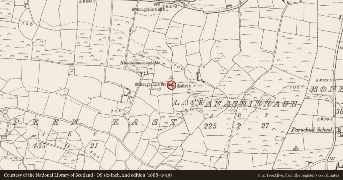 Ordnance Survey six-inch map, 2nd edition (1888–1915) covering the location of Souterrain, Cappeen East, County Cork, with a pin at the register's coordinates